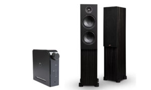 Nad D3020 V2 + PSB Alpha T20