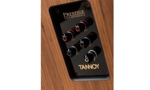 tannoy-prestige-Wesminster-Royal-GR-connectors