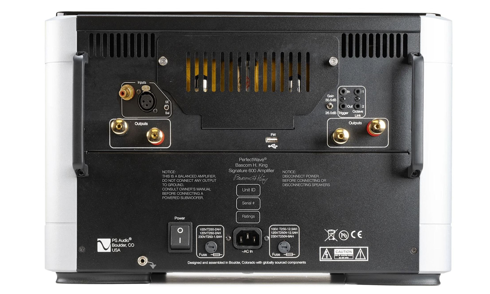 PS Audio – BHK Mono 600 Power Amplifier - Imagen 5